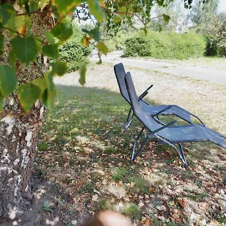 Petit De Montagne Avec Espace Extérieur Appartement Labaroche