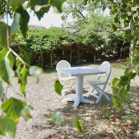 Petit De Montagne Avec Espace Exterieur