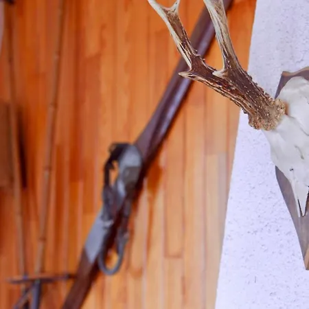 דירה Petit De Montagne Avec Espace Exterieur לבארוש