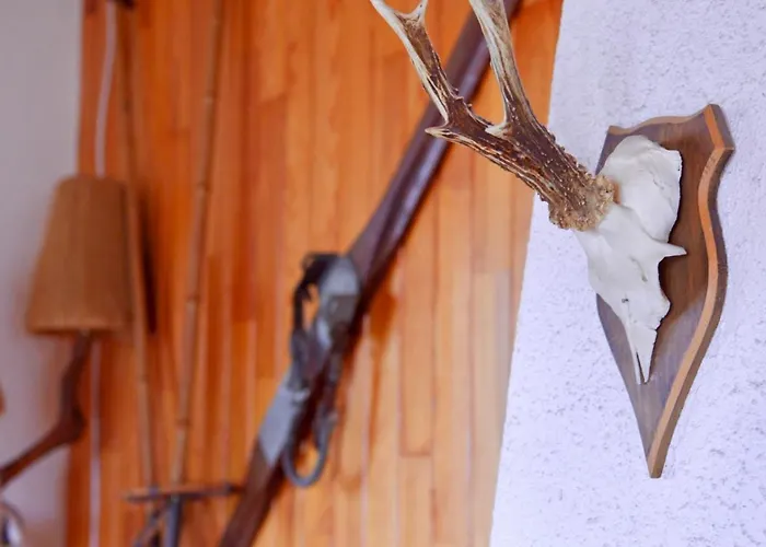 דירה Petit De Montagne Avec Espace Exterieur לבארוש